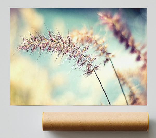 All Along Giclee Print