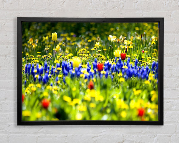 Spring Fling Framed Print