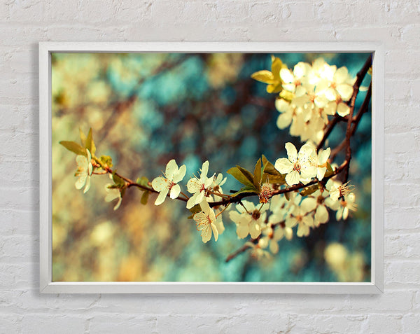 Beautiful Spring Day Framed Print