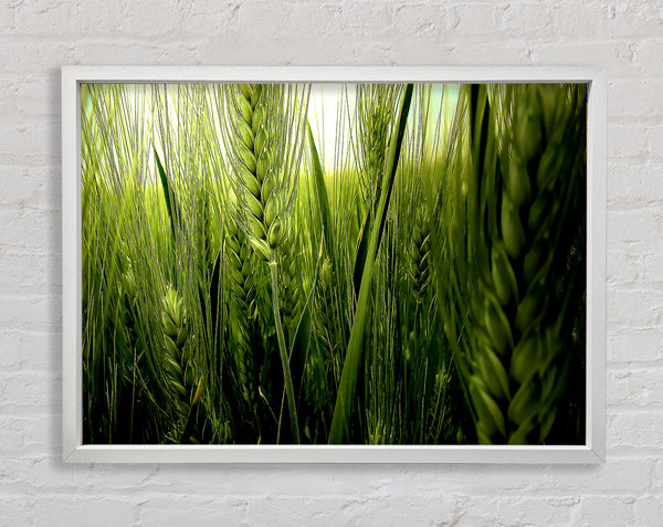 Life Below The Reeds Framed Print