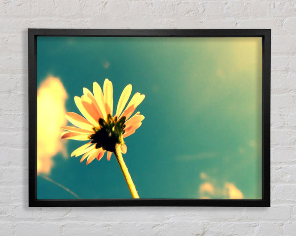 Summer Flower Retro Sunshine Framed Print