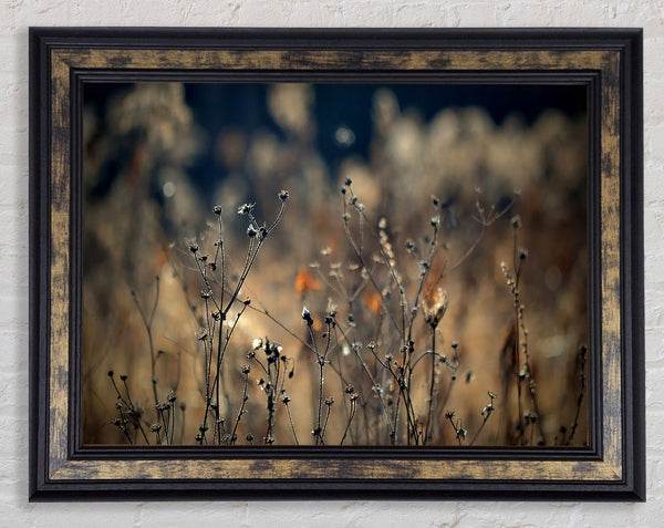 Autumn Just Before Winter Framed Print
