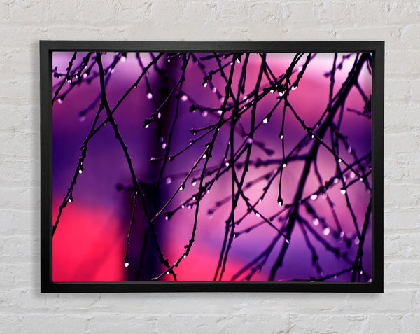 Wet Twigs Framed Print