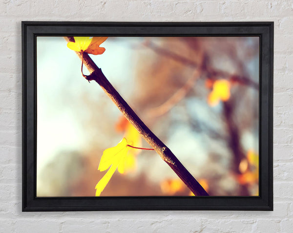 Autumn 2 Framed Print