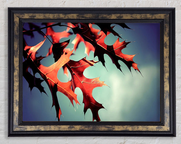 Fall Oak Leaves 2 Framed Print