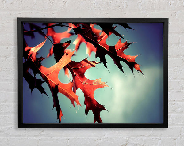 Fall Oak Leaves 2 Framed Print