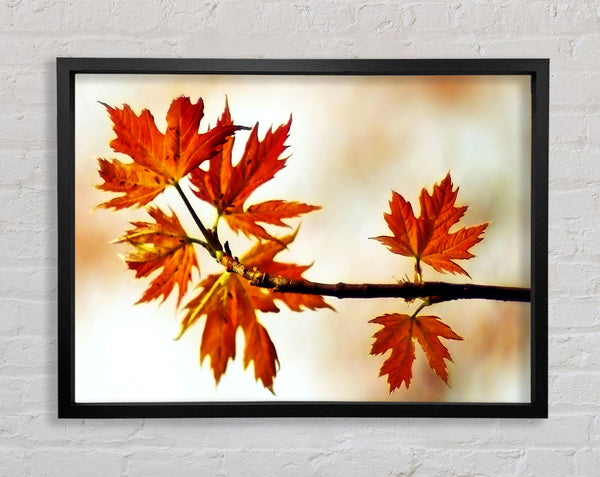 See You In Spring Framed Print