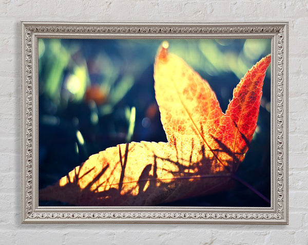 Fallen Leaf Framed Print