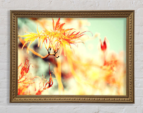 Fall Is But A Dream Framed Print
