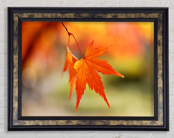 Orange Leaves Sparkle Framed Print