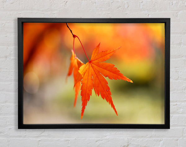 Orange Leaves Sparkle Framed Print