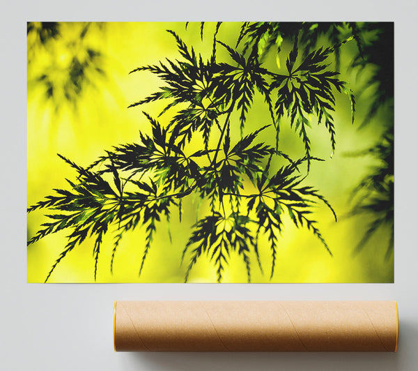Summer Tree Leaves Poster