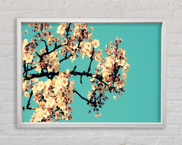 Blossom Tree Against A Blue Sky Framed Print