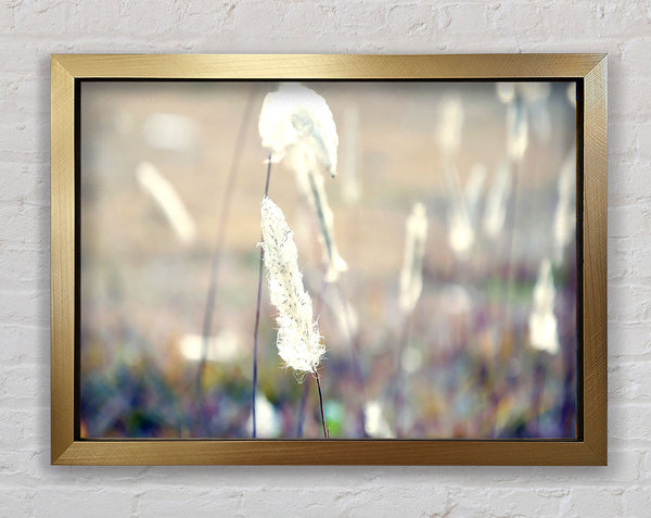 Grass Fluff Summer Framed Print