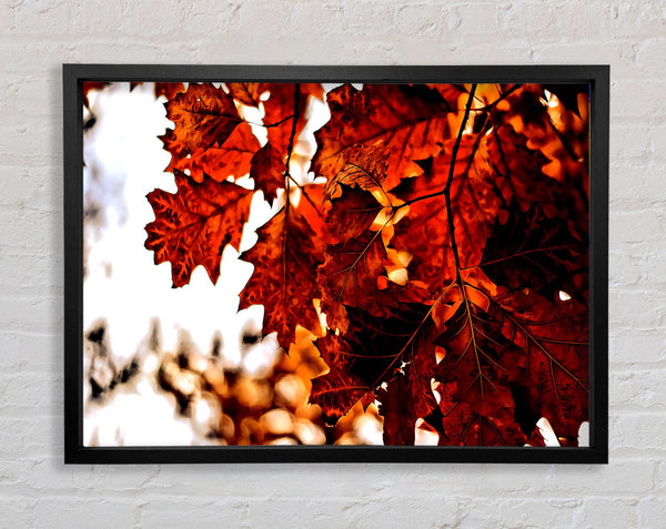 Reddish Brown Leaves Framed Print