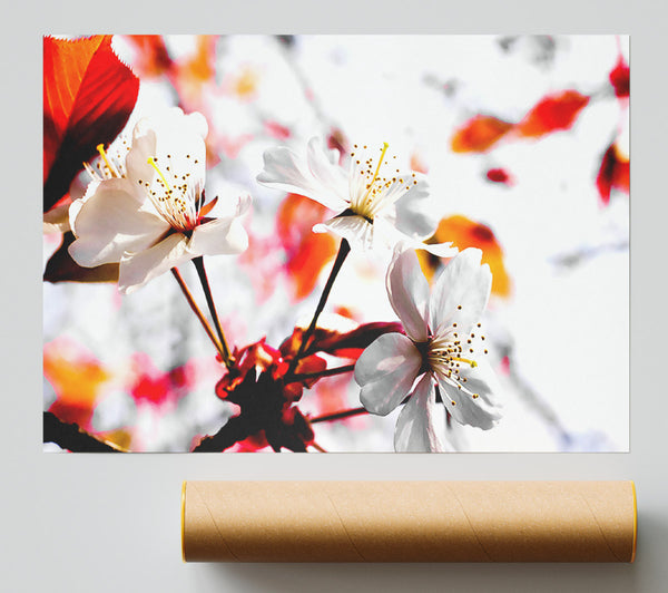 Spring Season Flowers Giclee Print