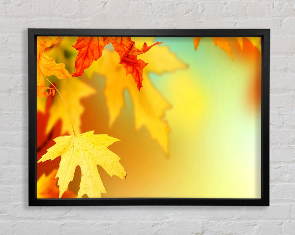Yellow Autumn Leaves Macro Framed Print