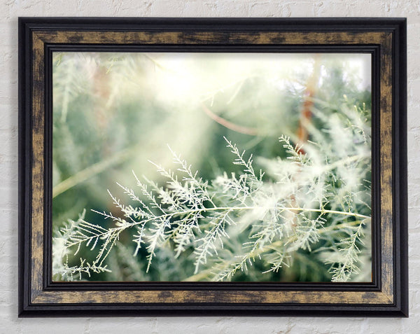 Winter Snow Leaves Framed Print