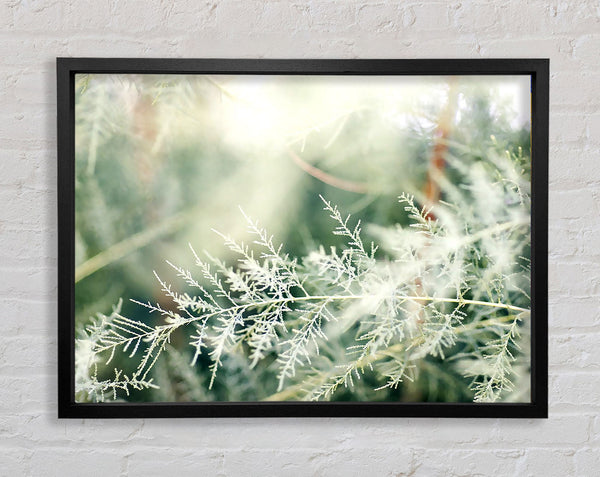 Winter Snow Leaves Framed Print