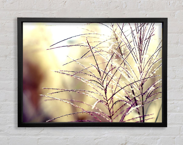 Wildflowers In The Sunlight Framed Print