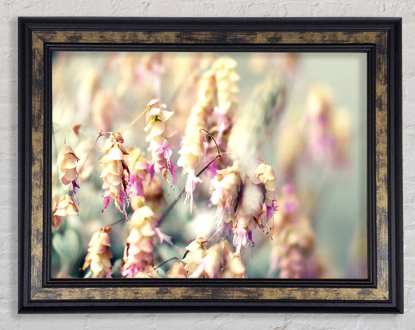 Wild Flowers In Spring Framed Print
