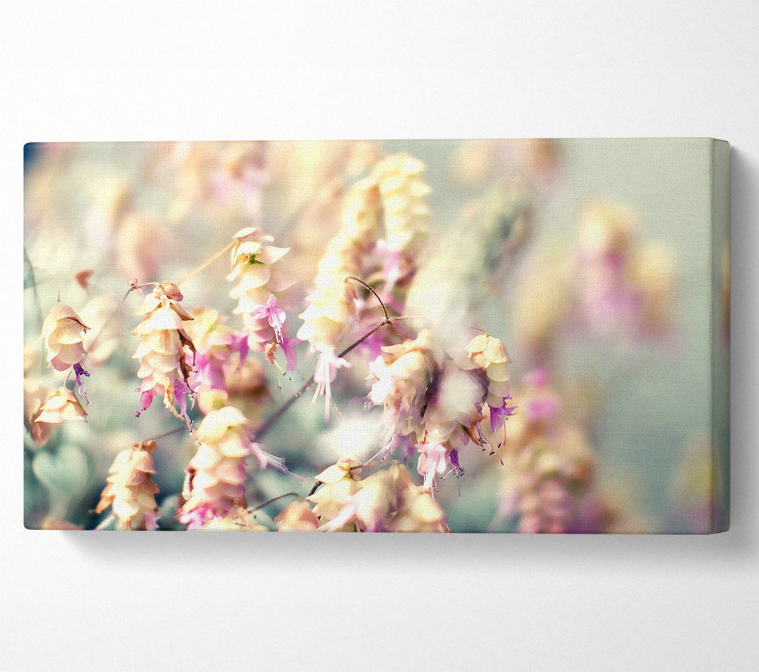  A Canvas Print of Wild Flowers In Spring Canvas Print