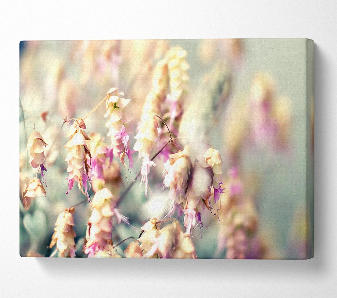  A Canvas Print of Wild Flowers In Spring Canvas Print