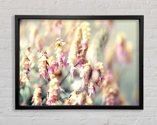 Wild Flowers In Spring Framed Print