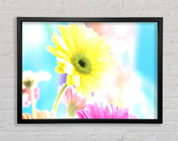 Colourful Summer Rainbow Flowers Framed Print