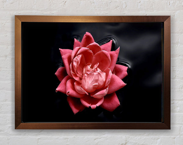 Floating Flower Framed Print