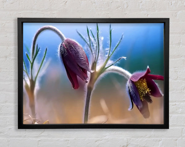Wildflowers Blooming Framed Print