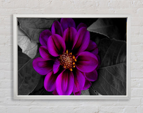 Fall Flower Framed Print