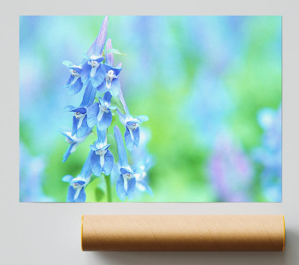 Soft Focus Small Blue Flowers Poster