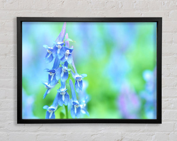 Soft Focus Small Blue Flowers Framed Print