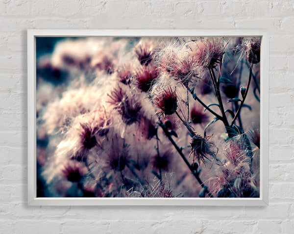 Cotton Buds Framed Print