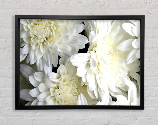 White Flowers Framed Print