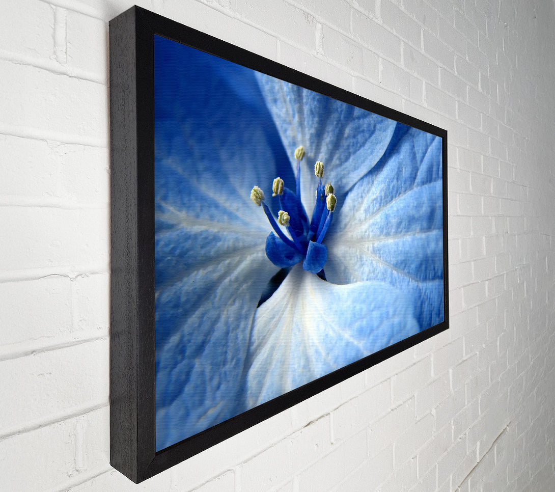  A Canvas Print of Soft Blue Flower Canvas Wall Art