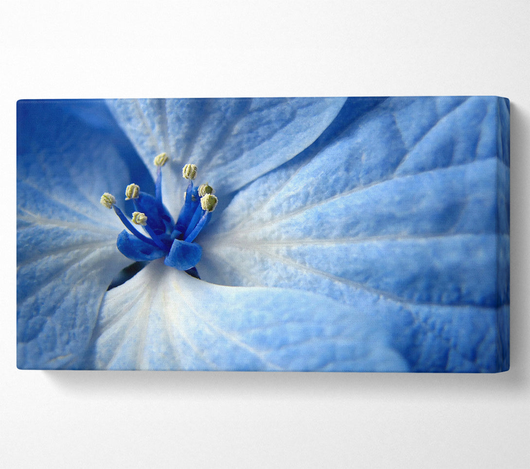 A Canvas Print of Soft Blue Flower Canvas Wall Art