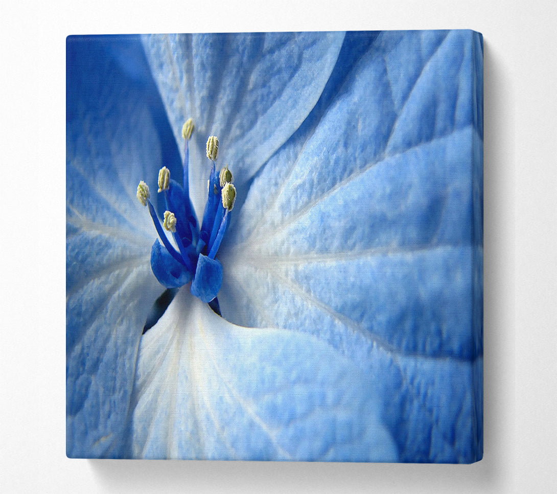 A Canvas Print of Soft Blue Flower Canvas Wall Art