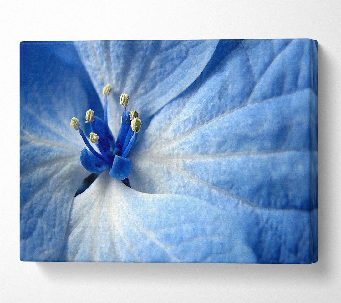  A Canvas Print of Soft Blue Flower Canvas Wall Art