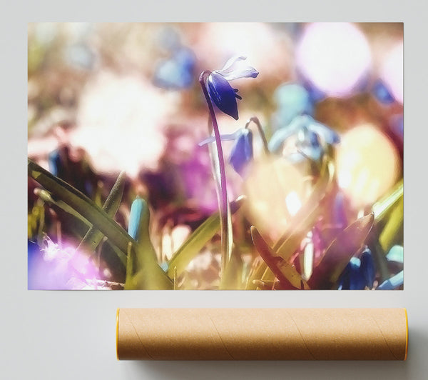 Soft Purples In The Garden Print