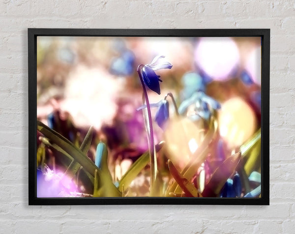 Soft Purples In The Garden Framed Print
