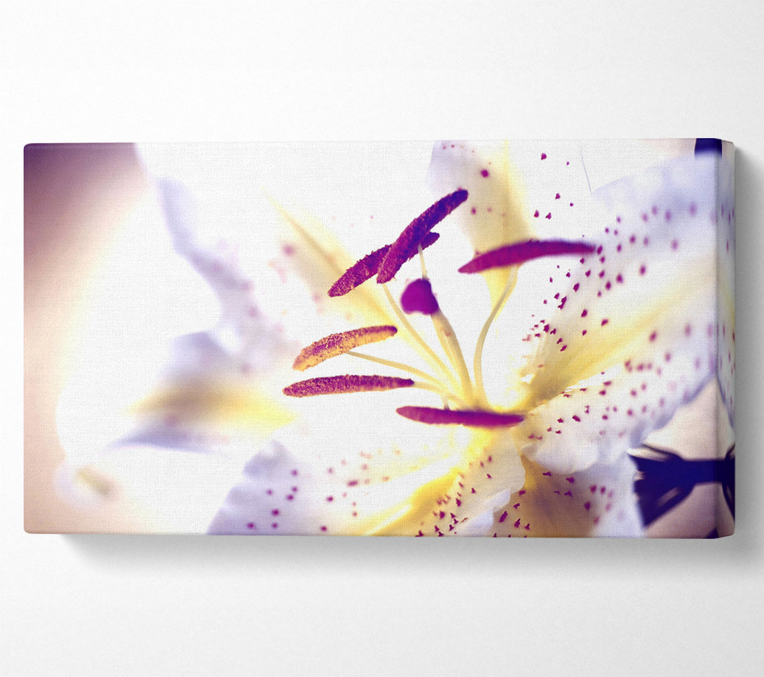  A Canvas Print of White Tiger Lily Canvas Art