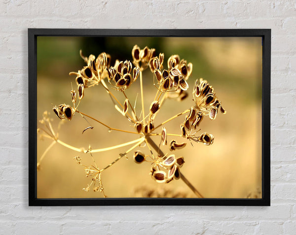 Winter Framed Print