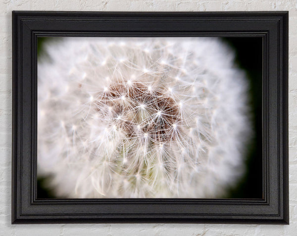 Make A Wish Framed Print