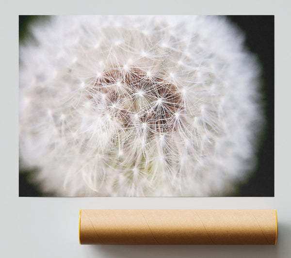 Make A Wish Poster