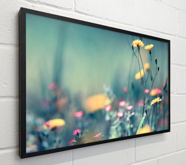 Dandelion Garden
