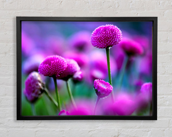 Remember Love Framed Print