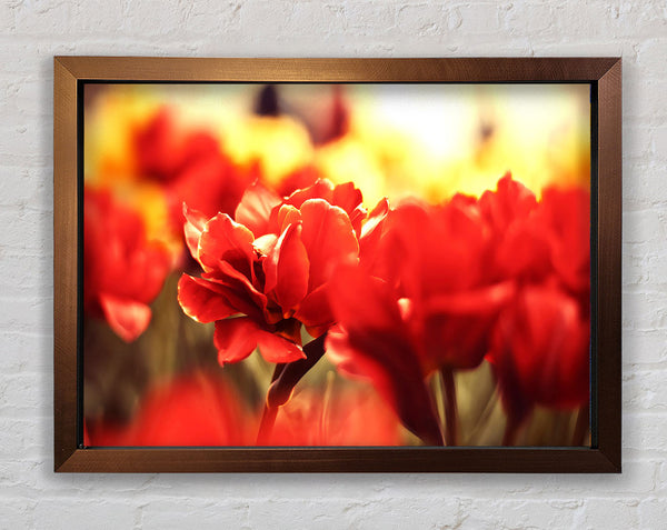 Memory Framed Print