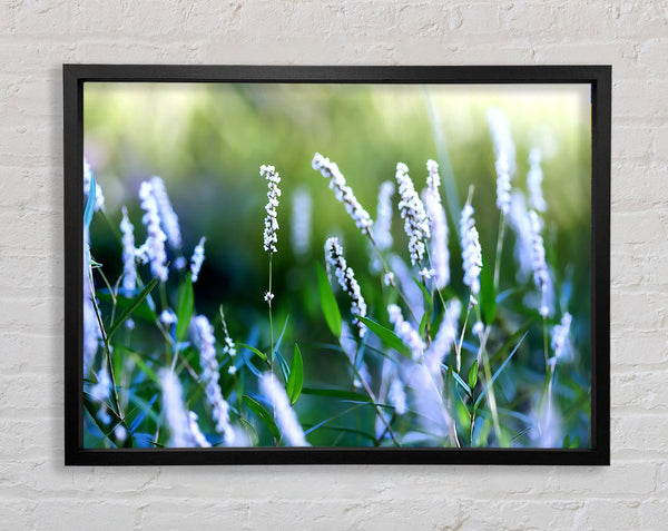 Bush Flowers Framed Print